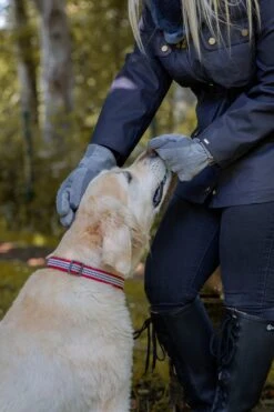 Women's Three-Point Fleece-Lined Suede Gloves -Dents Luxury Accessories Sales 16.7 1171Charcoal 4 2634Blue