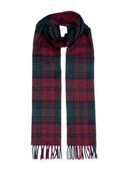 Heritage Tartan Check Cashmere Scarf With Tassels -Dents Luxury Accessories Sales 2 2070 Lindsay