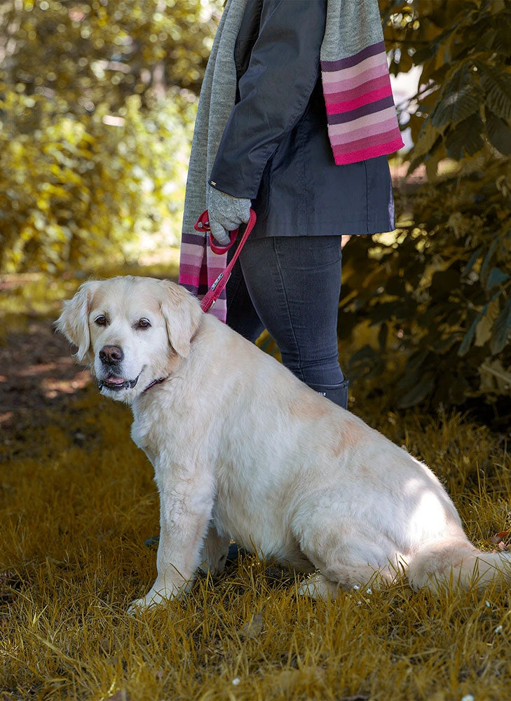 Women’s Knitted Gloves With Neon Striped Cuffs 4 Women’s Knitted Gloves With Neon Striped Cuffs - Image 4