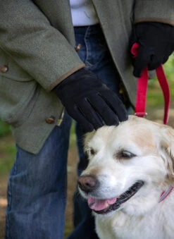 Men's Touchscreen Wool-Lined Leather Gloves With Elasticated Cuffs -Dents Luxury Accessories Sales 5 1620 Black
