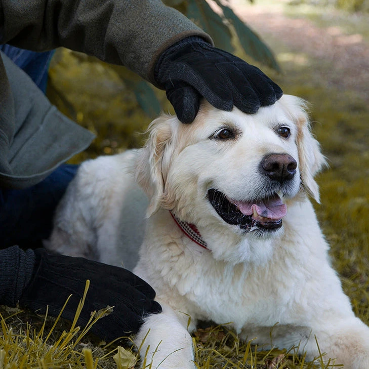 Dents Luxury Accessories Sales -Dents Luxury Accessories Sales 5 1629 Black 45958630 b381 47d1 9813 1abb5cf552af 1